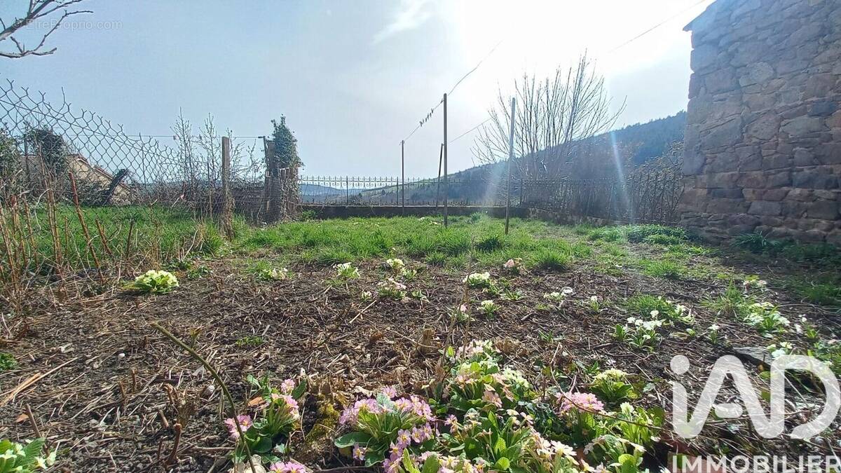 Photo 1 - Maison à SAINT-JULIEN-MOLIN-MOLETTE