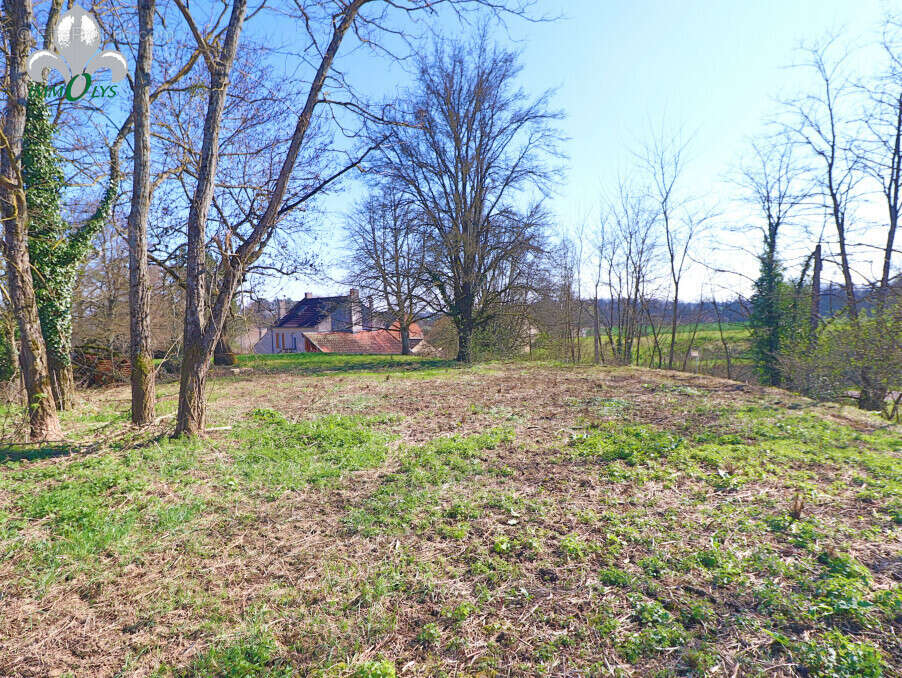 Terrain à AUVILLARS-SUR-SAONE