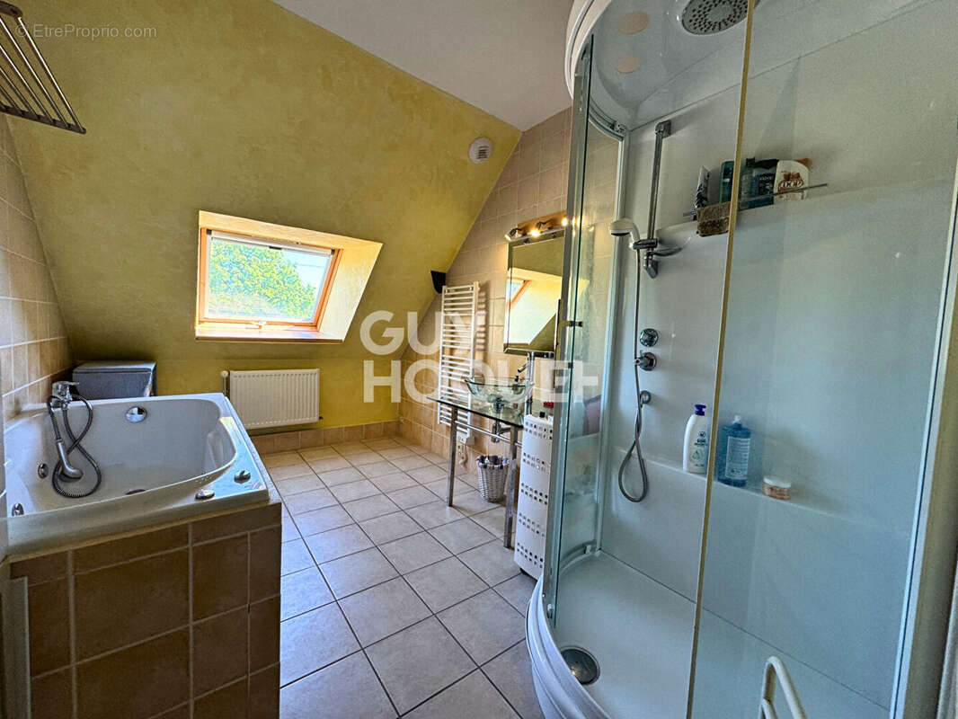 Maison et gite Oussieres 9 chambres - photo 12