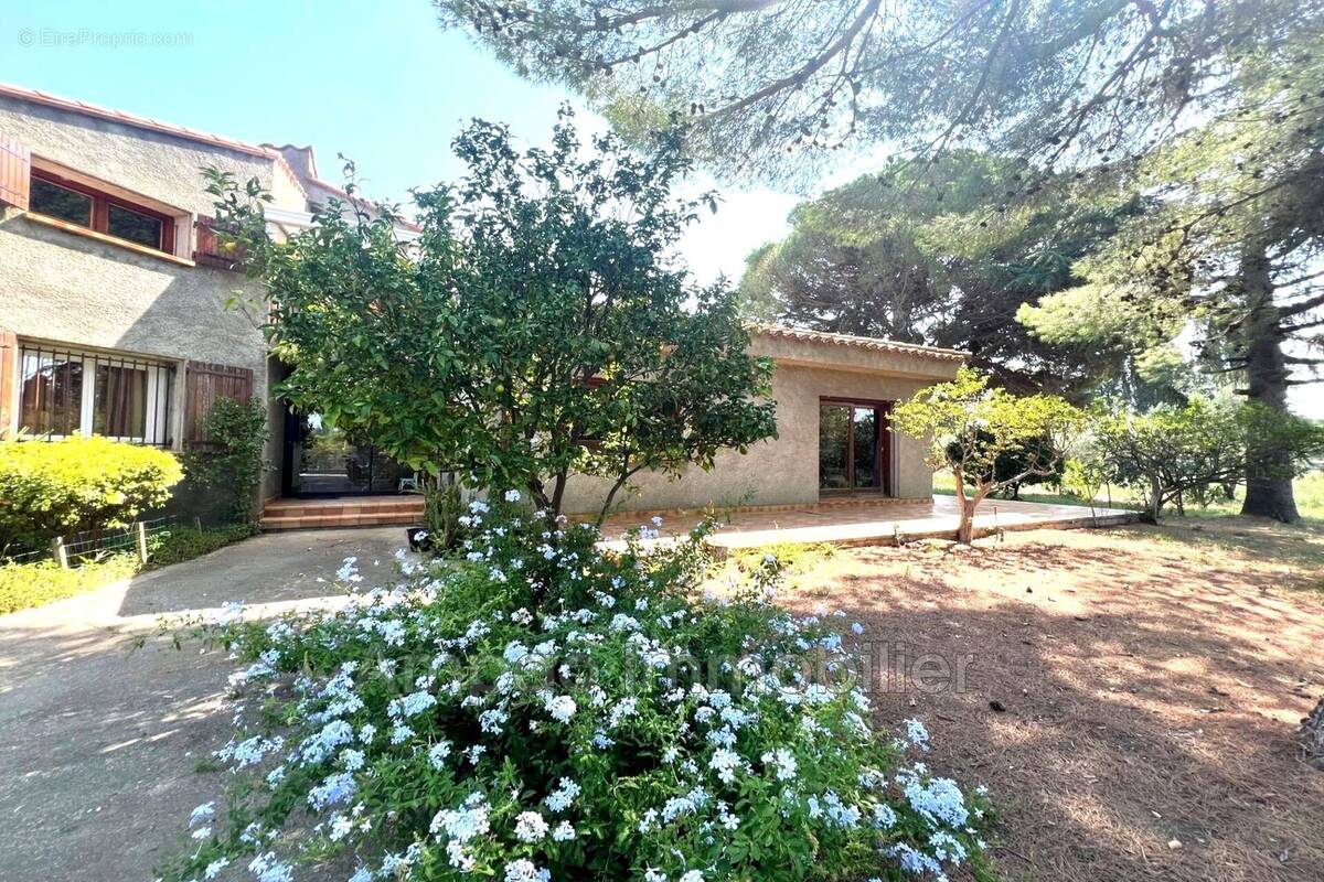 Maison 251 m² à Elne  - photo 2