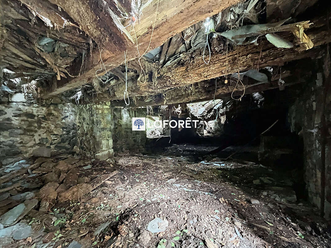 Maison à SAINTE-GENEVIEVE-SUR-ARGENCE