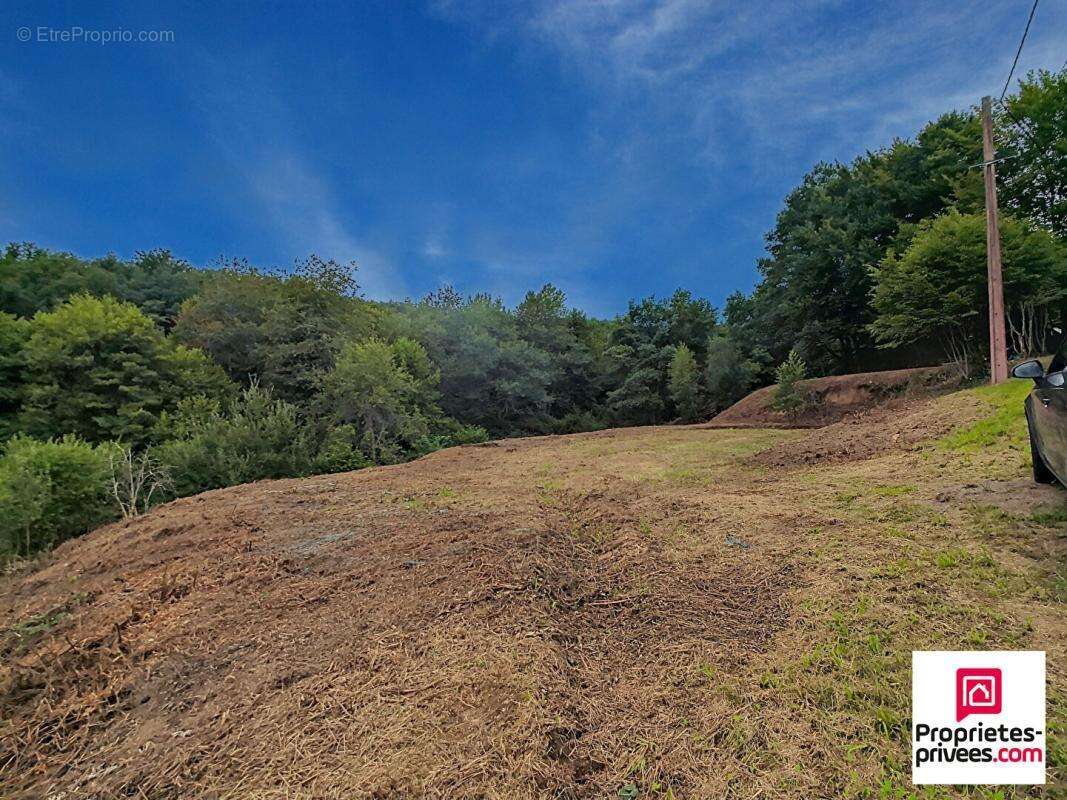 Terrain non  constructible  Champagney 2312 m2 - photo 2