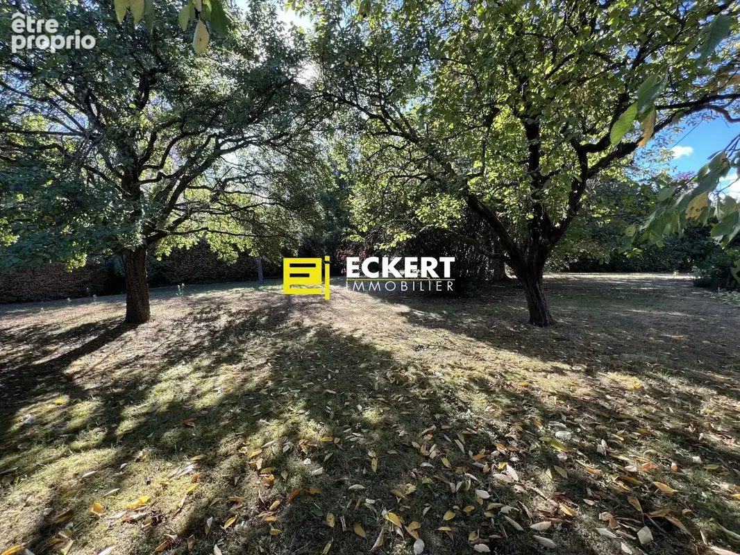 Terrain 900 m² à vendre à Boersch (67530) - photo 3