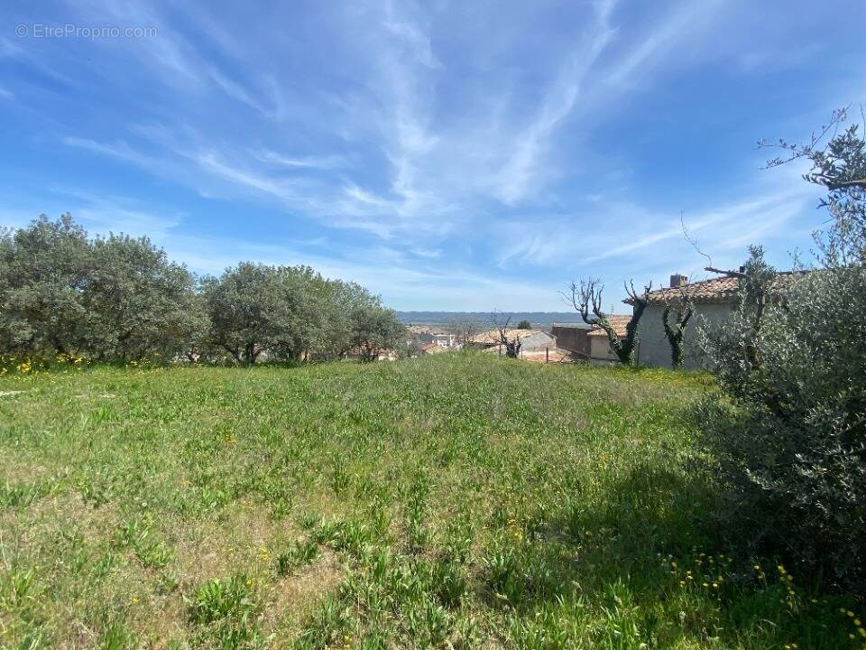Photo Terrain à Sainte-Tulle au prix de 145 000€