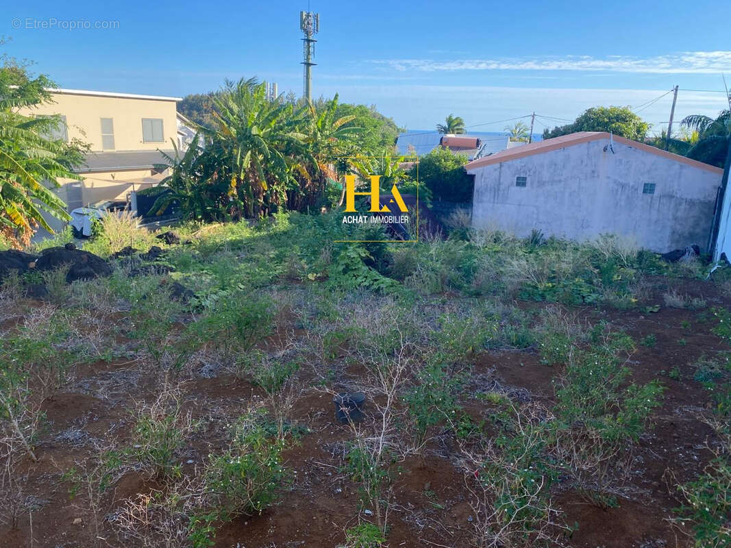 Terrain à SAINT-JOSEPH