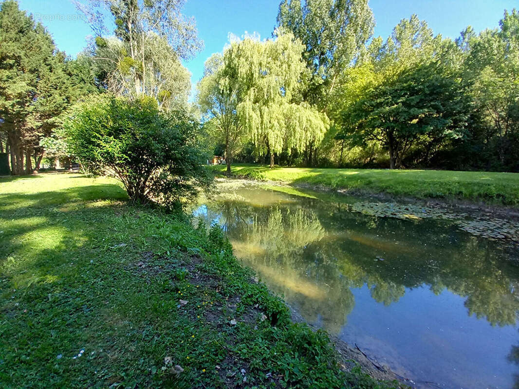 Terrain de loisirs Monthoiron 5620m² - photo 4