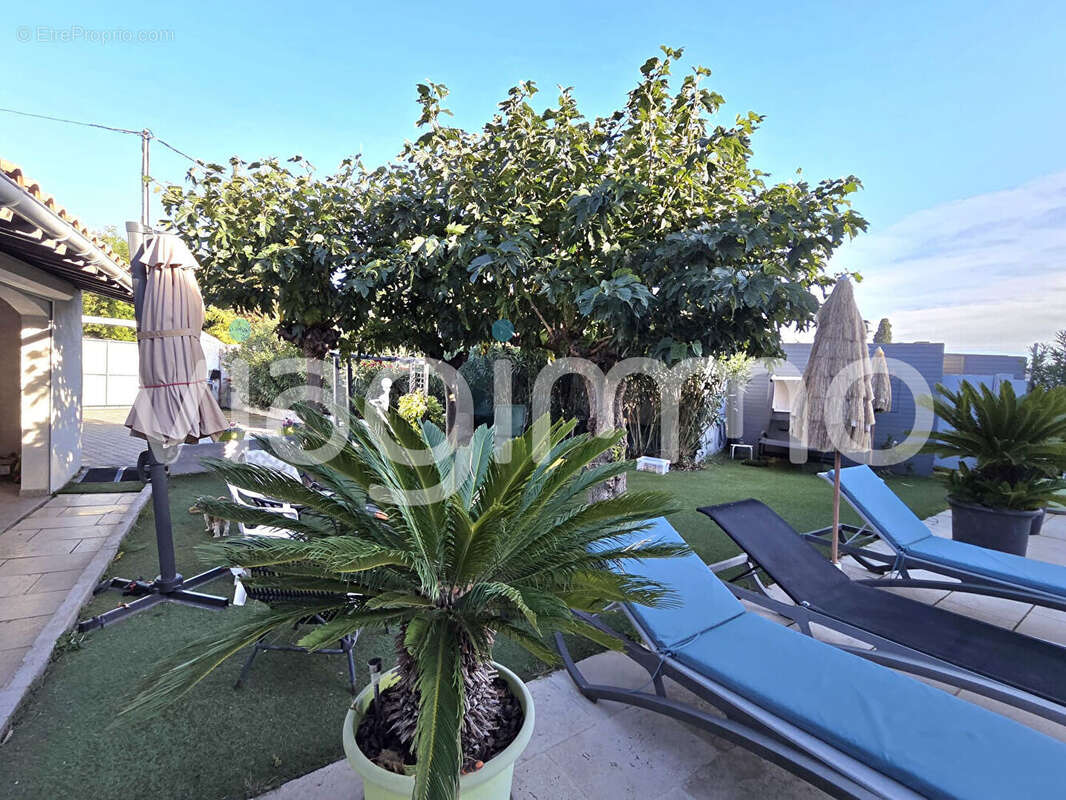 Maison à VENDARGUES