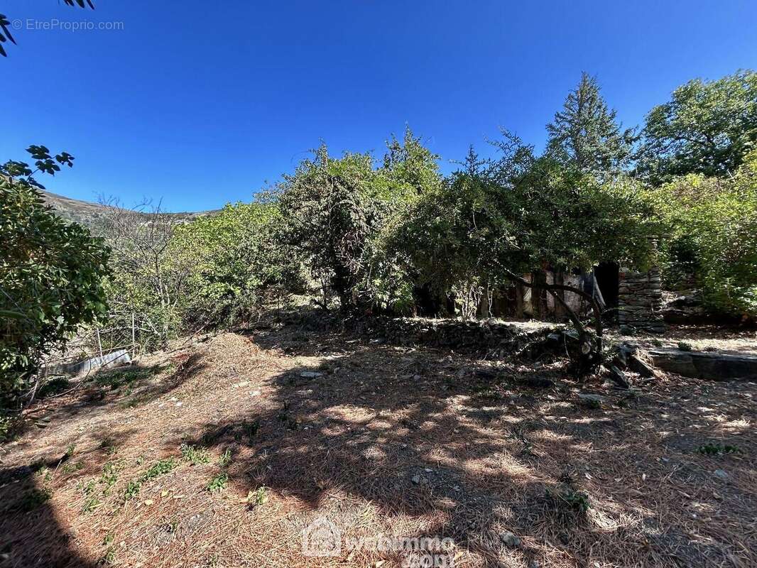 Parcelle de 549 m2 - Maison à BIGORNO