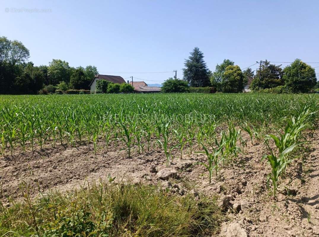 Terrain à GURS