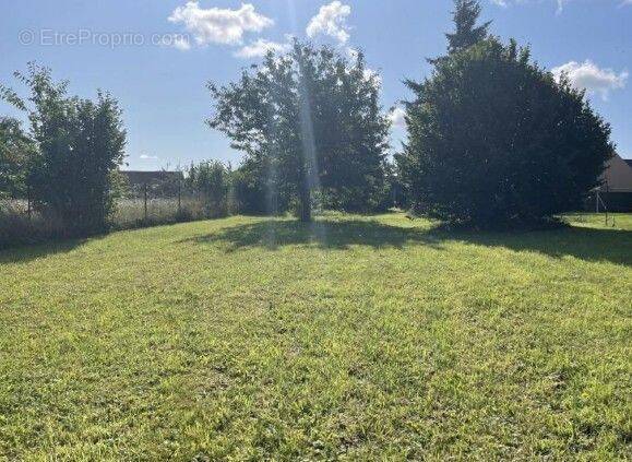 Terrain à CANNY-SUR-MATZ