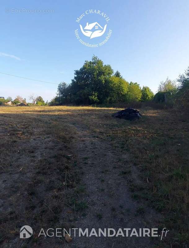 Terrain constructible 1 292 m² + grange 140 m² – Orléat - photo 3