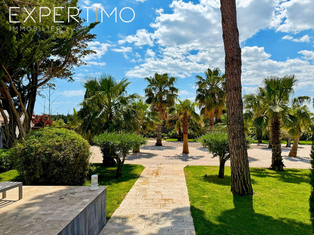 Propriété de 457 m2 + Piscine avec Pool House + 4 garages sur 5500 m2. - photo 6