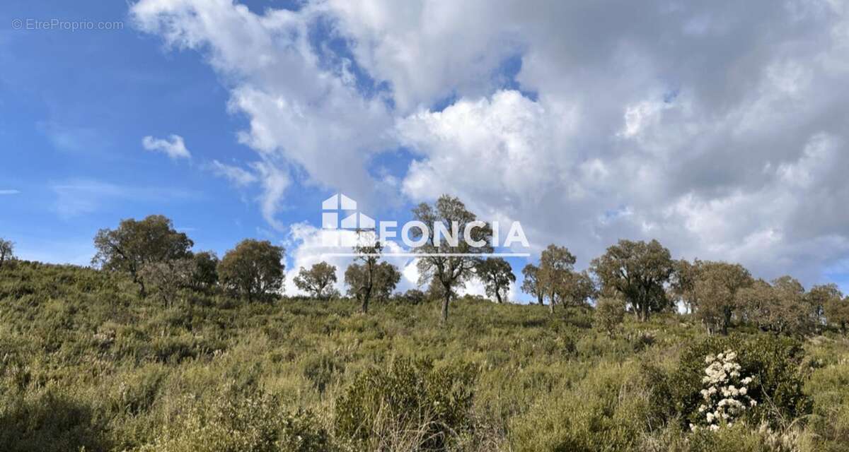 Terrain à LA LONDE-LES-MAURES