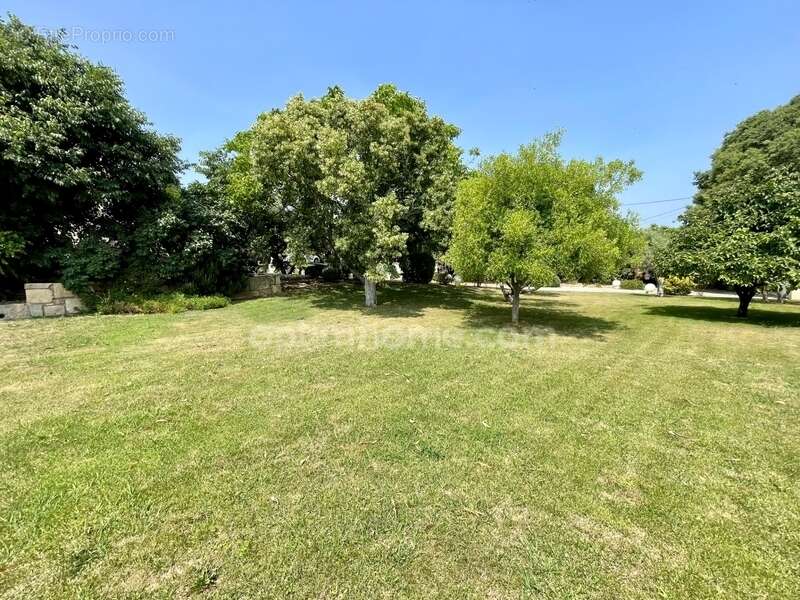 Maison à BELLEGARDE