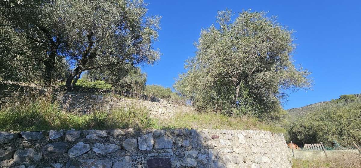 Terrain à TOURRETTE-LEVENS