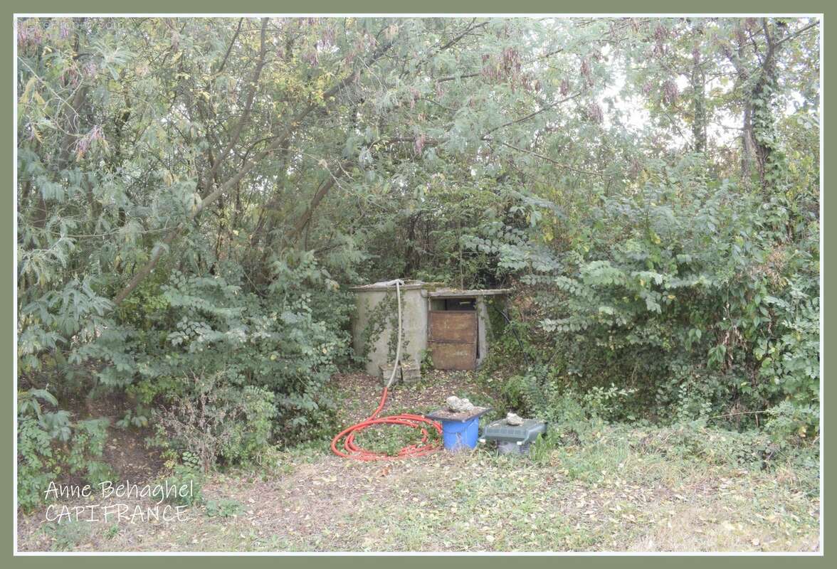 A vendre Condom - Maison individuelle 133m2 avec sous-sol - Terrain 5000m2 - photo 23