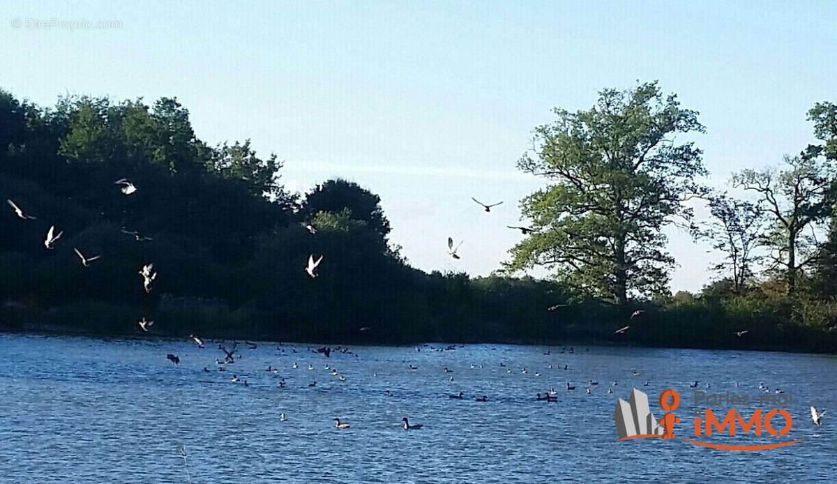 Maison à DAMMARIE-EN-PUISAYE