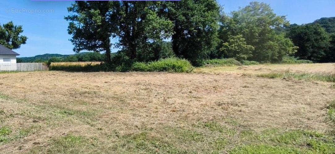 Terrain à AUSSEVIELLE