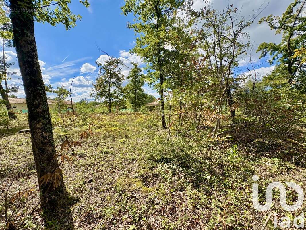 Photo 3 - Terrain à MARSAC-SUR-L'ISLE