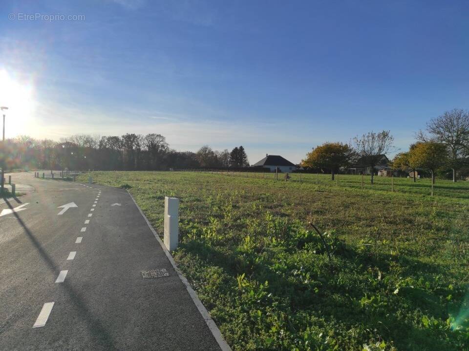 Terrain à LA HAYE-MALHERBE