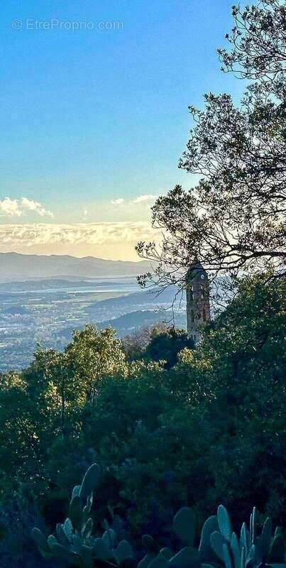 Maison à SARROLA-CARCOPINO
