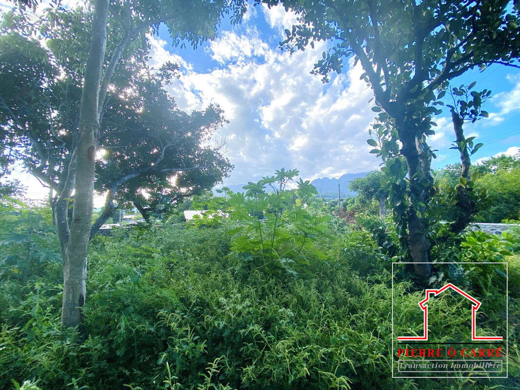 Terrain à LE TAMPON