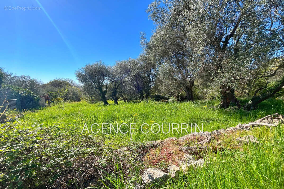 Maison à SAINT-CEZAIRE-SUR-SIAGNE