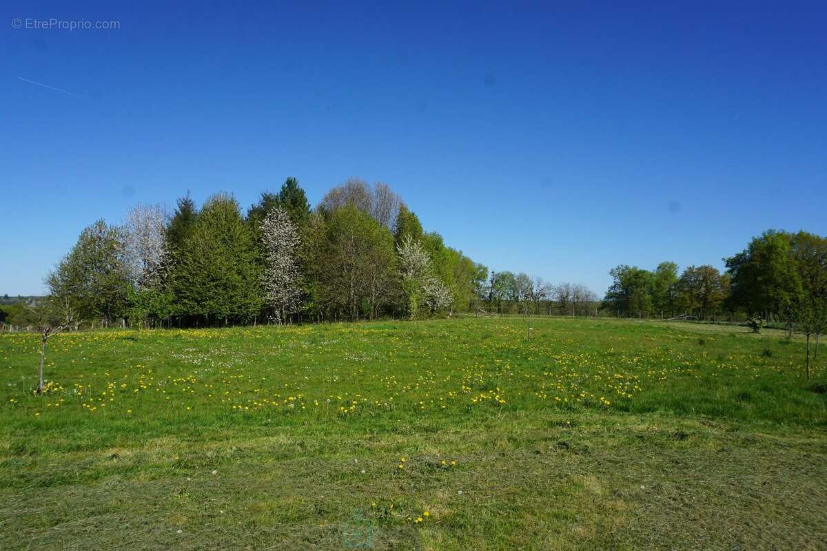 Maison à SAINT-SAUD-LACOUSSIERE