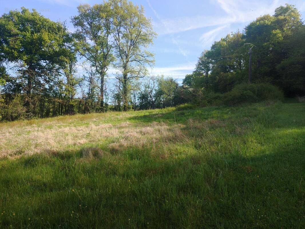 Photo 1 - Terrain à SAINT-PARDOUX-LA-RIVIERE