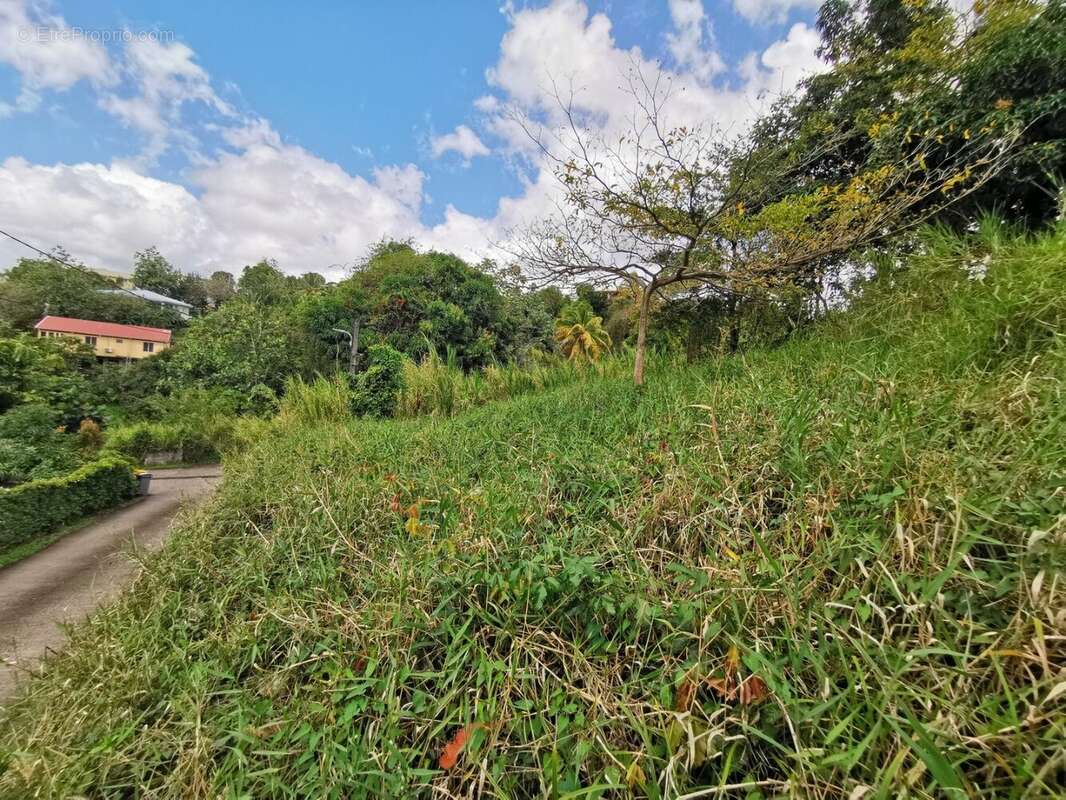 Terrain à RIVIERE-SALEE