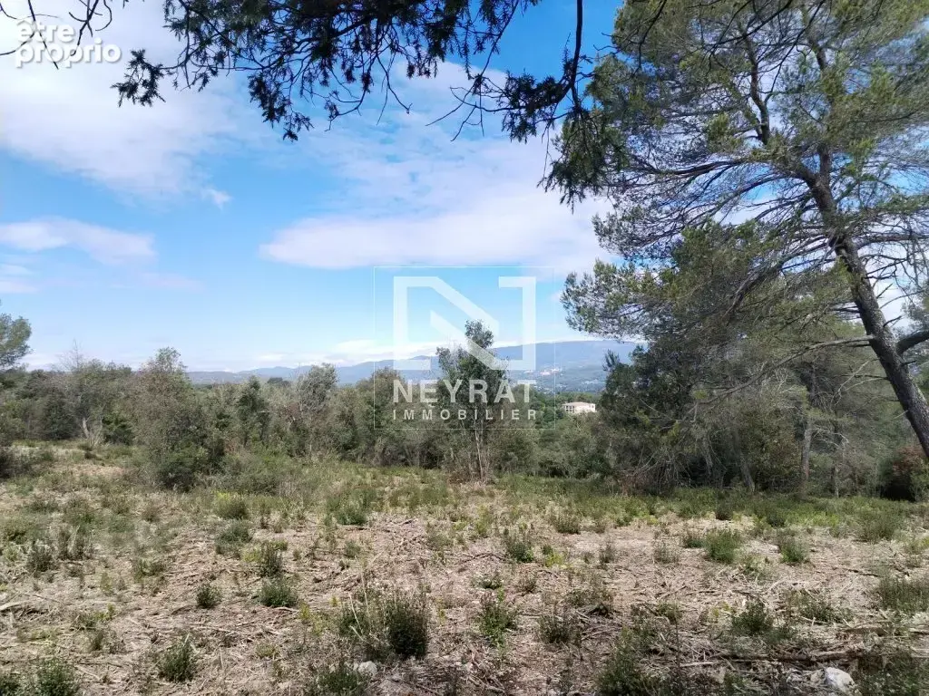 Montauroux - superbe terrain en zone naturelle   5 hectares ! - photo 6