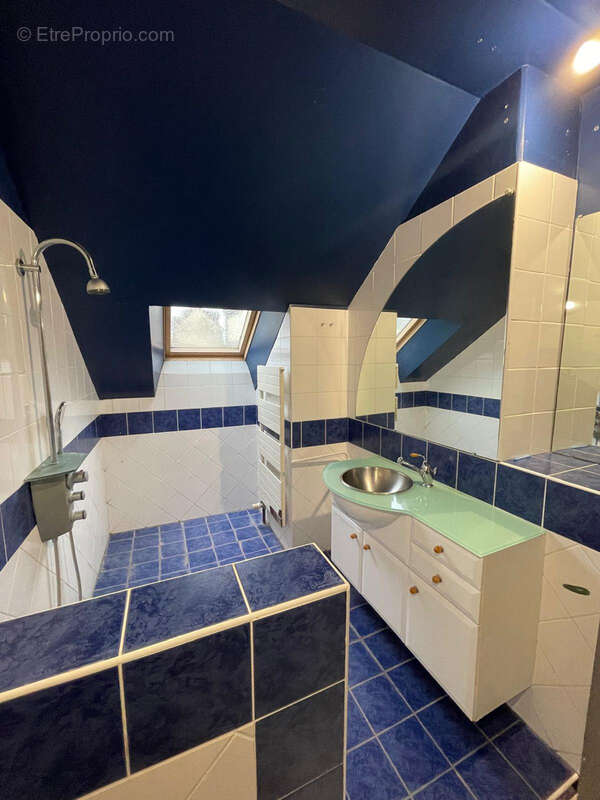 Maison à SAINTE-SAVINE