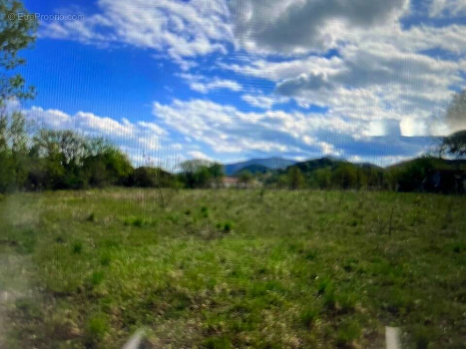 Terrain à SAINT-ANDRE-DE-SANGONIS