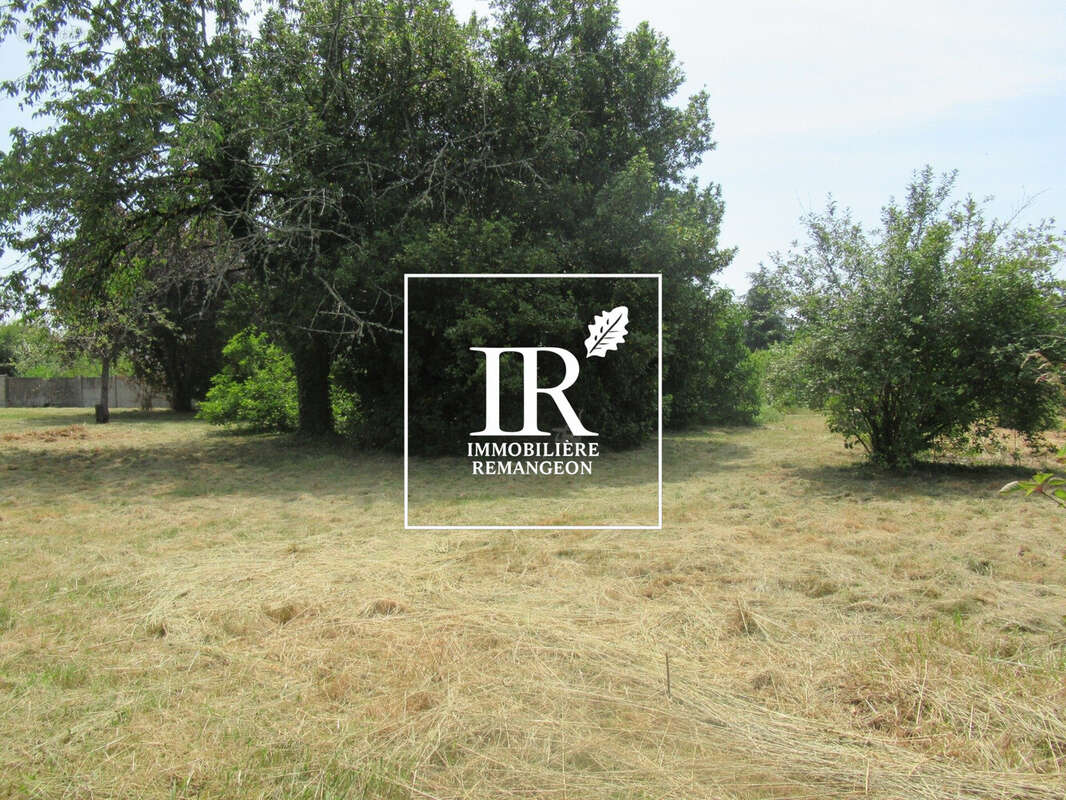 Terrain 1304 m² à Lamotte-Beuvron  - photo 3