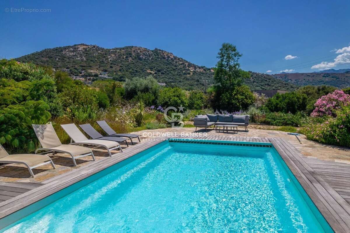 Corbara - Villa contemporaine plain-pied - vue panoramique - photo 2