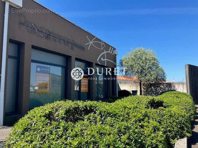 Commerce à L&#039;ILE-D&#039;OLONNE