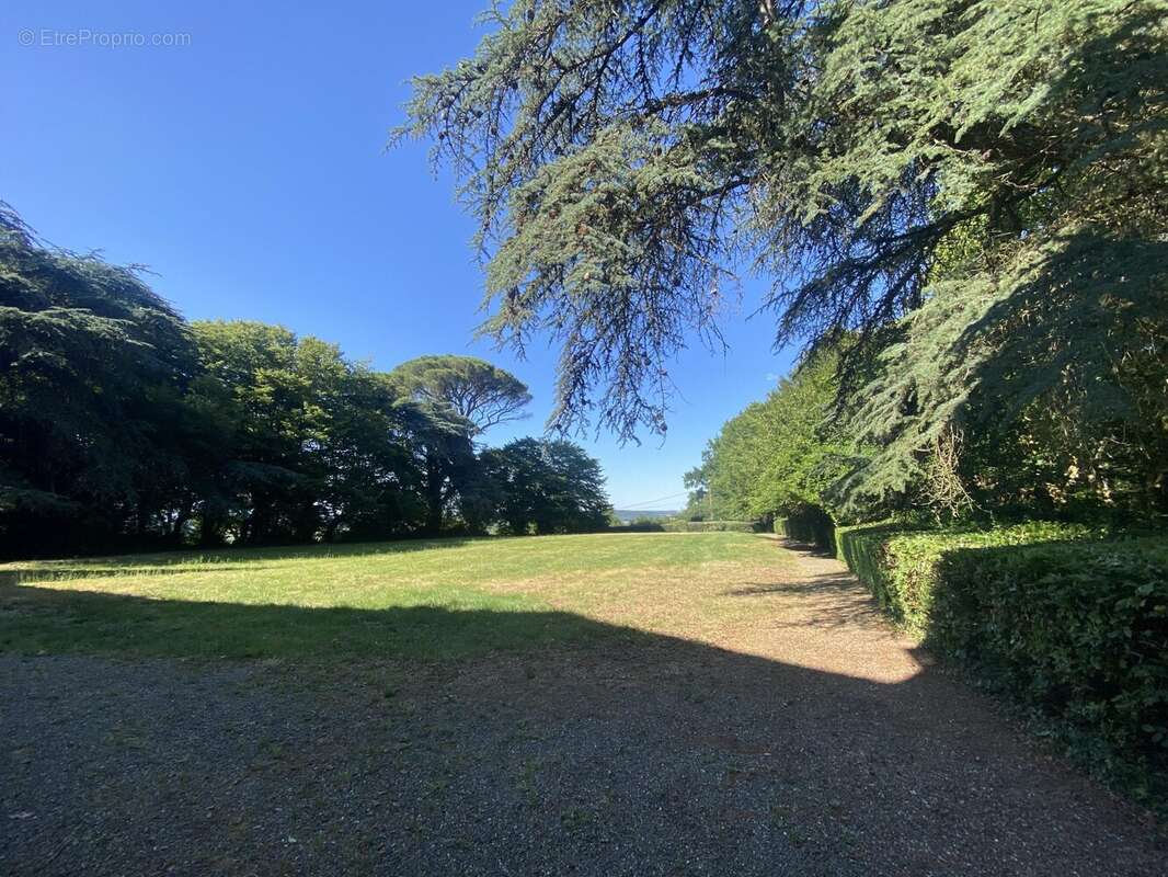 620 m² à Riscle  - photo 6