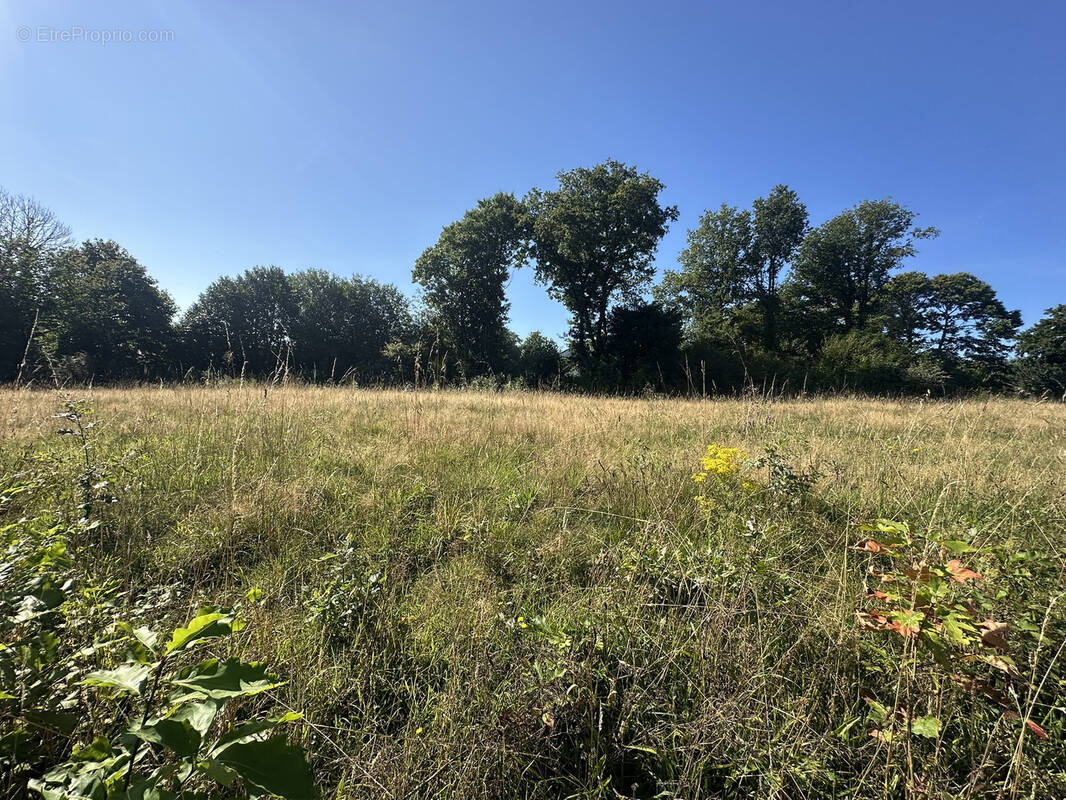 Terrain à BAUD