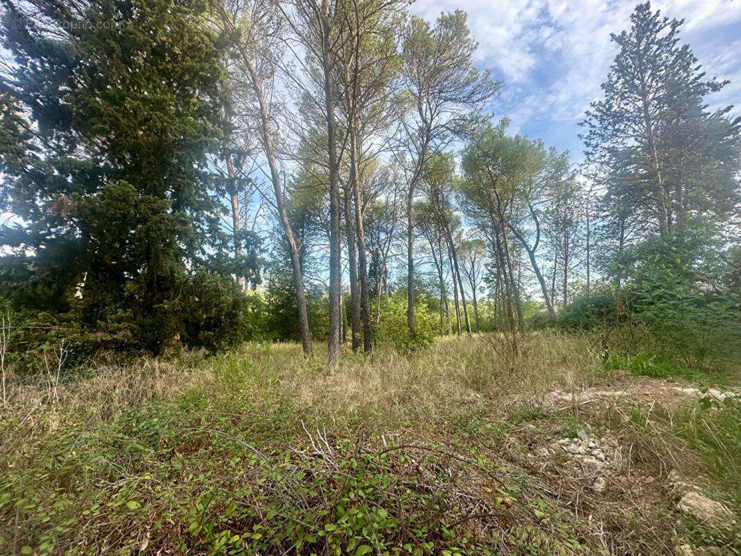 Terrain à MONTPELLIER