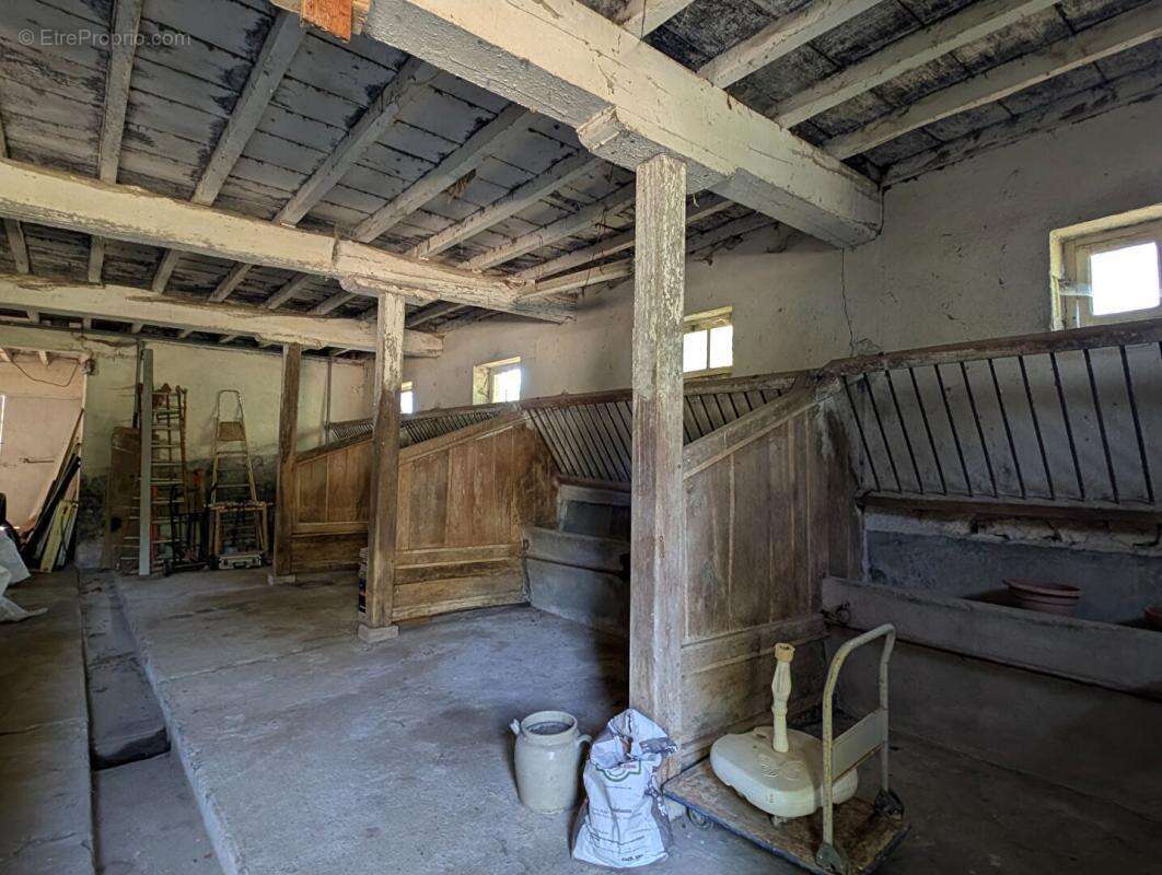 Maison Pouy De Touges 7 pièces 253 m2 avec 14 hectares - photo 14