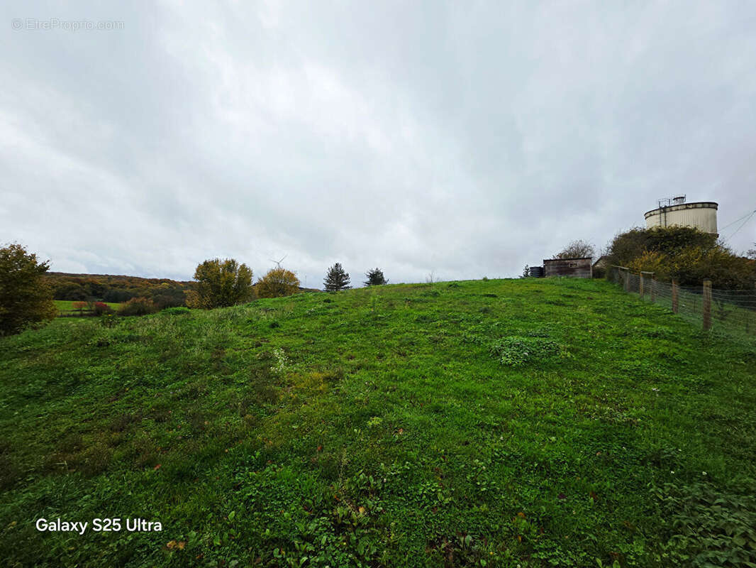 Terrain à FONTENELLE-MONTBY