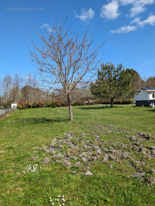 Terrain à LIT-ET-MIXE