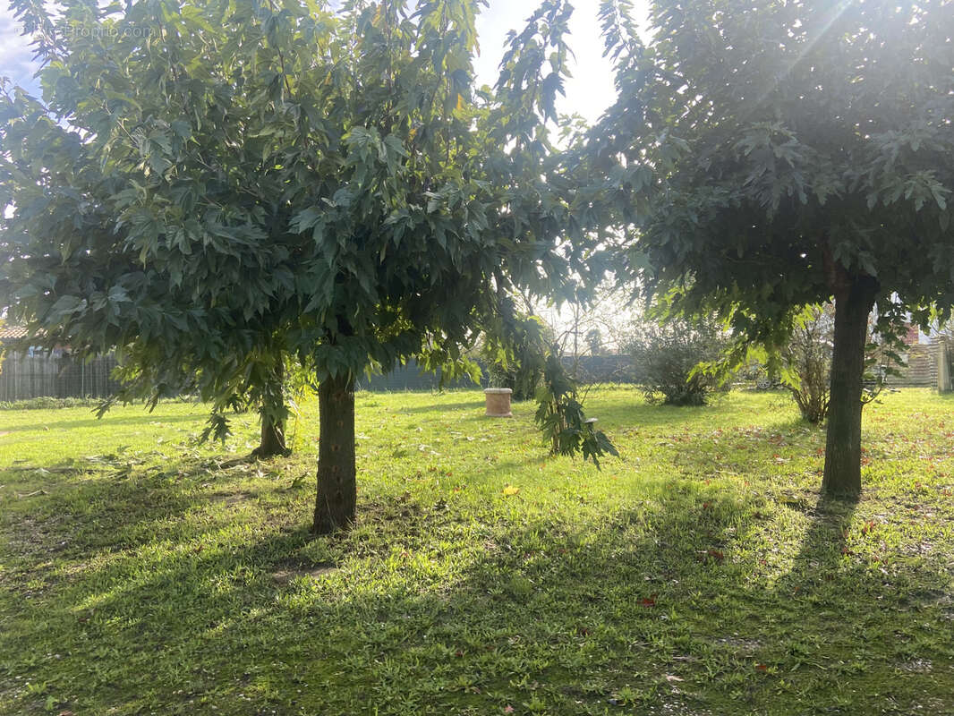 Maison à SAINTE-BAZEILLE