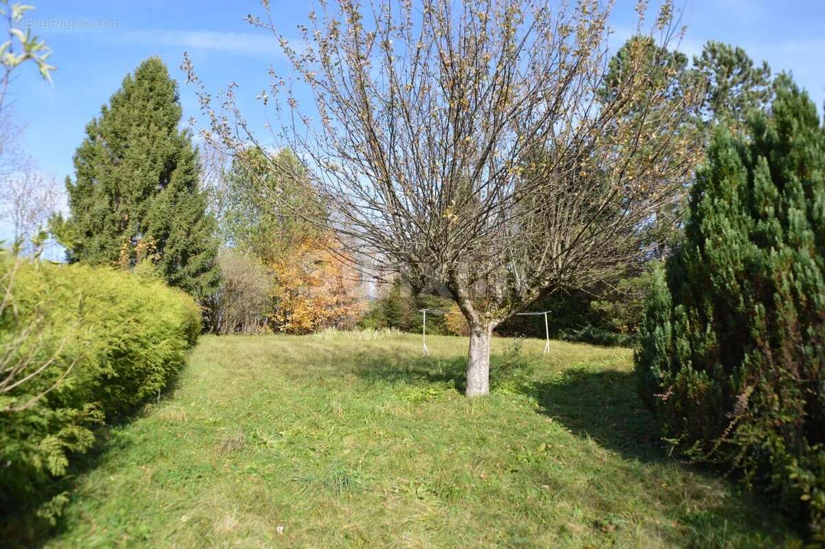 Maison à LA MOUILLE