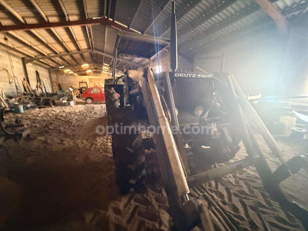Exclusivité – ensemble immobilier sur parcelle agricole : maison de plain-pied & hangar - photo 10