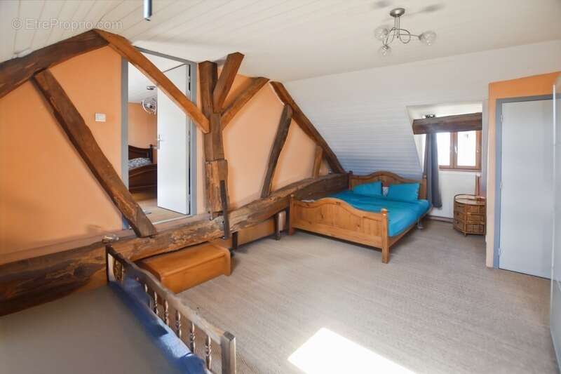 Maison à SAINT-JEAN-DE-TREZY