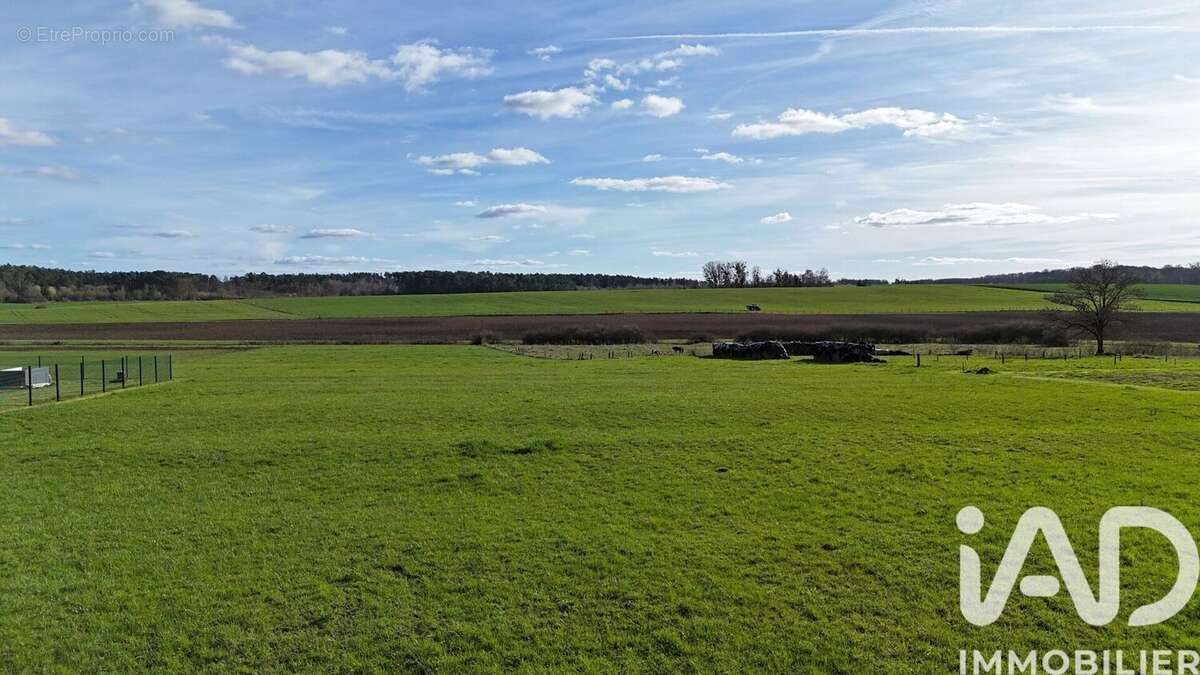 Photo 3 - Terrain à REHAINCOURT