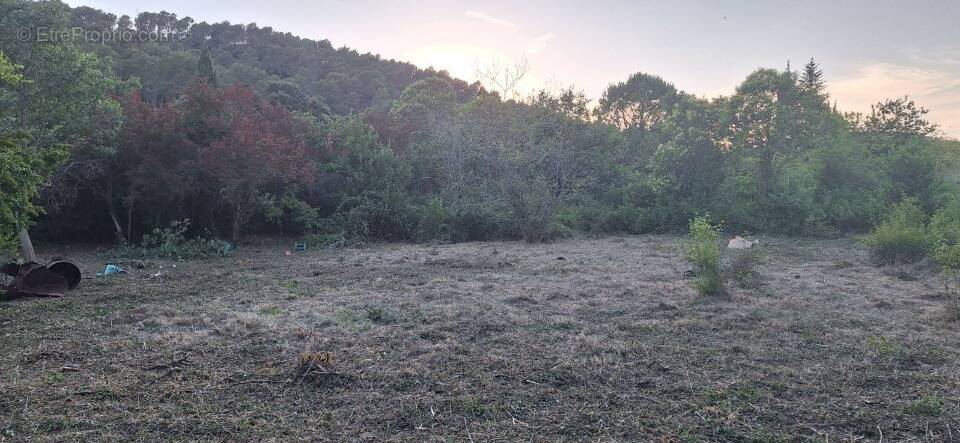 Terrain à CARNOULES