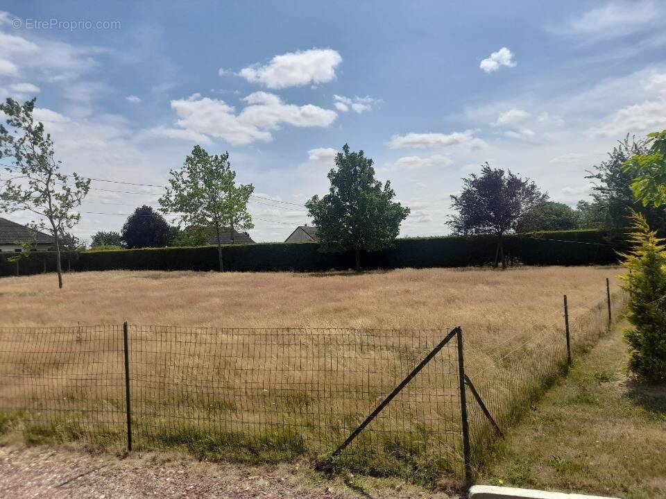 Terrain à LA NEUVILLE-DU-BOSC