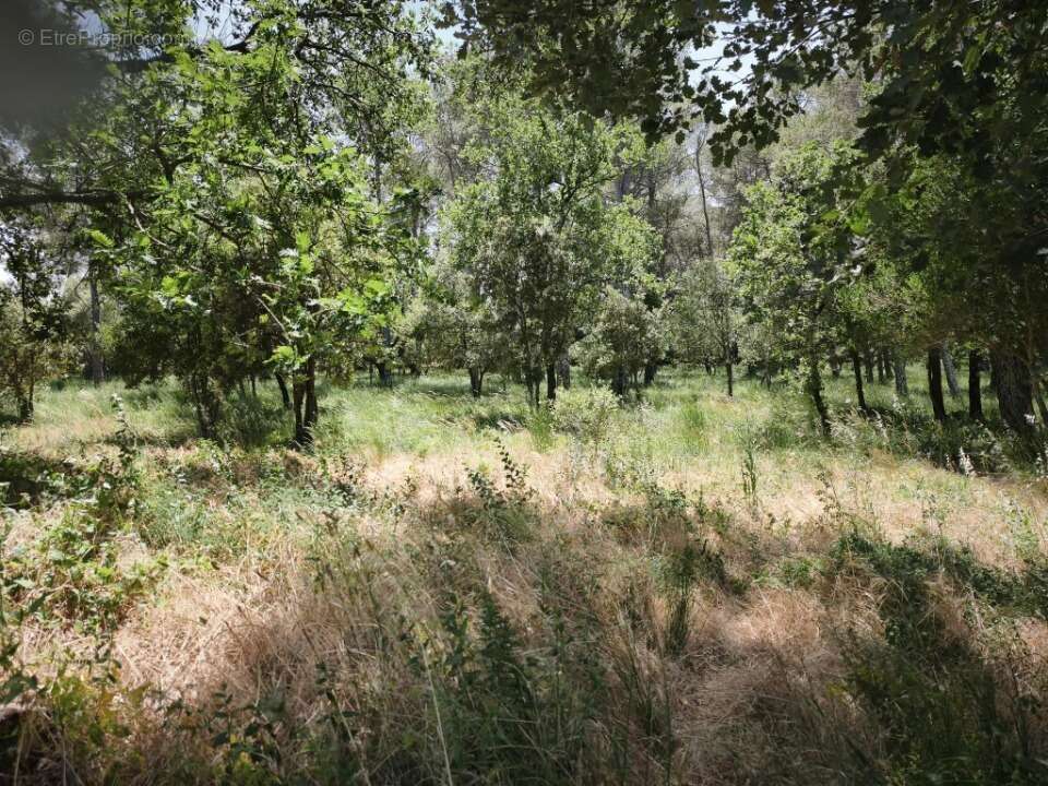 Terrain 655 m² à Gareoult  - photo 2